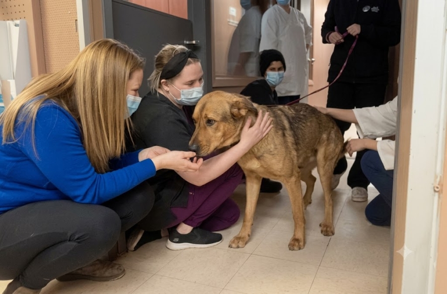 Shelter Dog Gives Goodbye Kisses To Every Staff Member On His Way Out