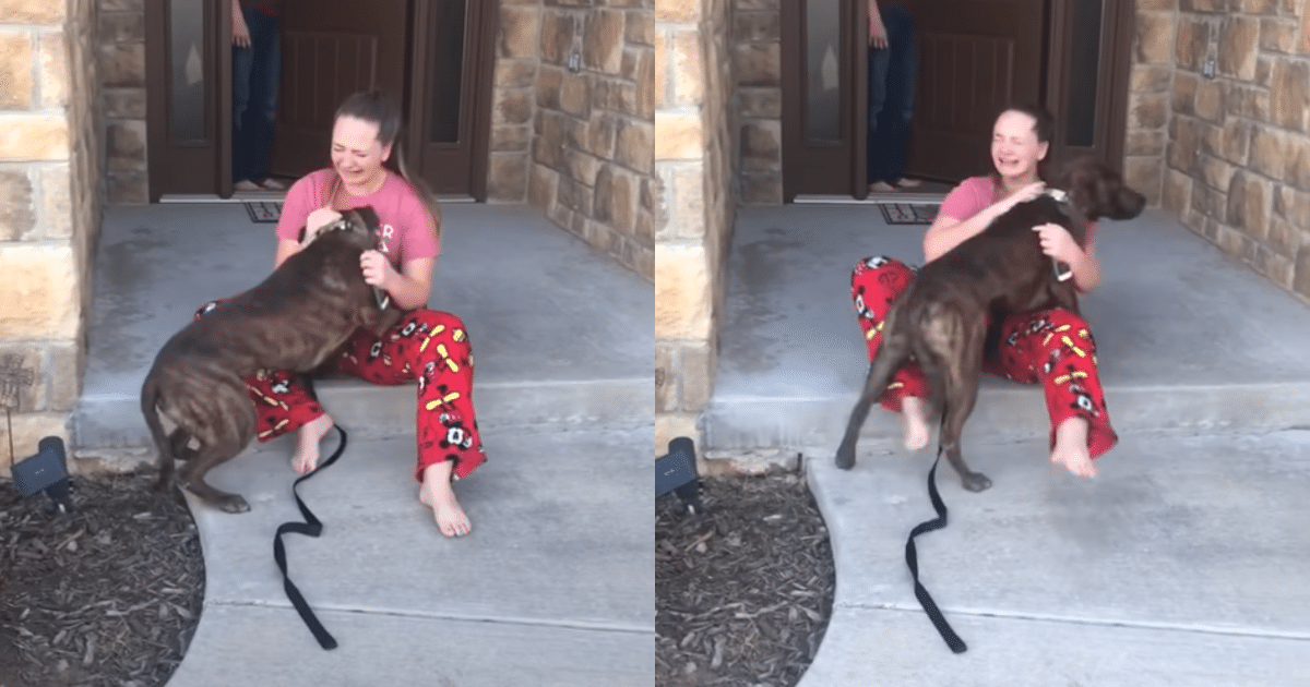 Parents Gift Daughter the Shelter Dog She Had Been Caring for and Loving