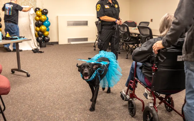 Happy Birthday, Lola! Wood County Sheriff’s Office therapy dog turns 1