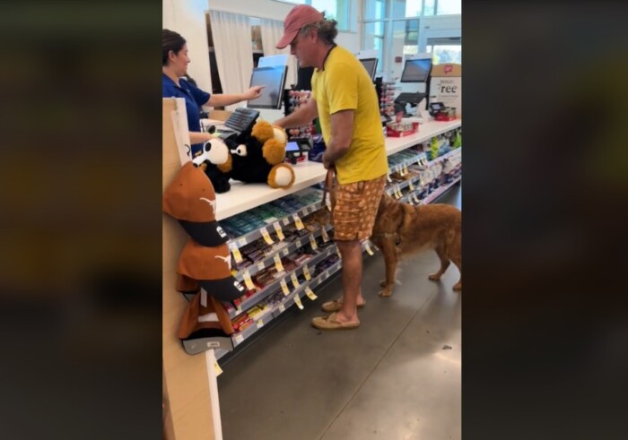 Golden Retriever Picking Out Birthday Gift at Walgreens Becomes the Talk of the Town