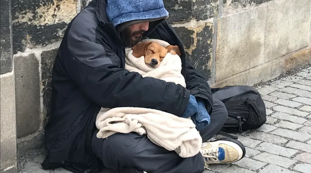 His Only Friend: A Story of Cold Mornings, Warm Hearts, and Unshakable Love.