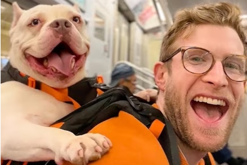 He carries shelter dogs around the city in a backpack to help get them adopted He carries shelter dogs around the city in a backpack to help get them adopted