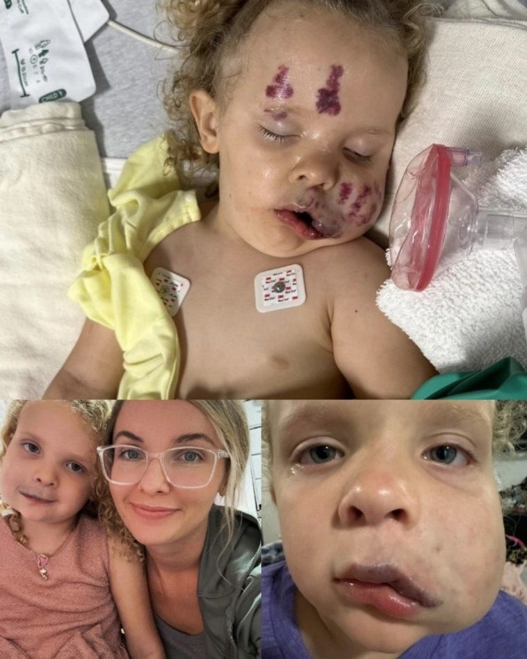 A Race Against Time for Lily’s Childhood