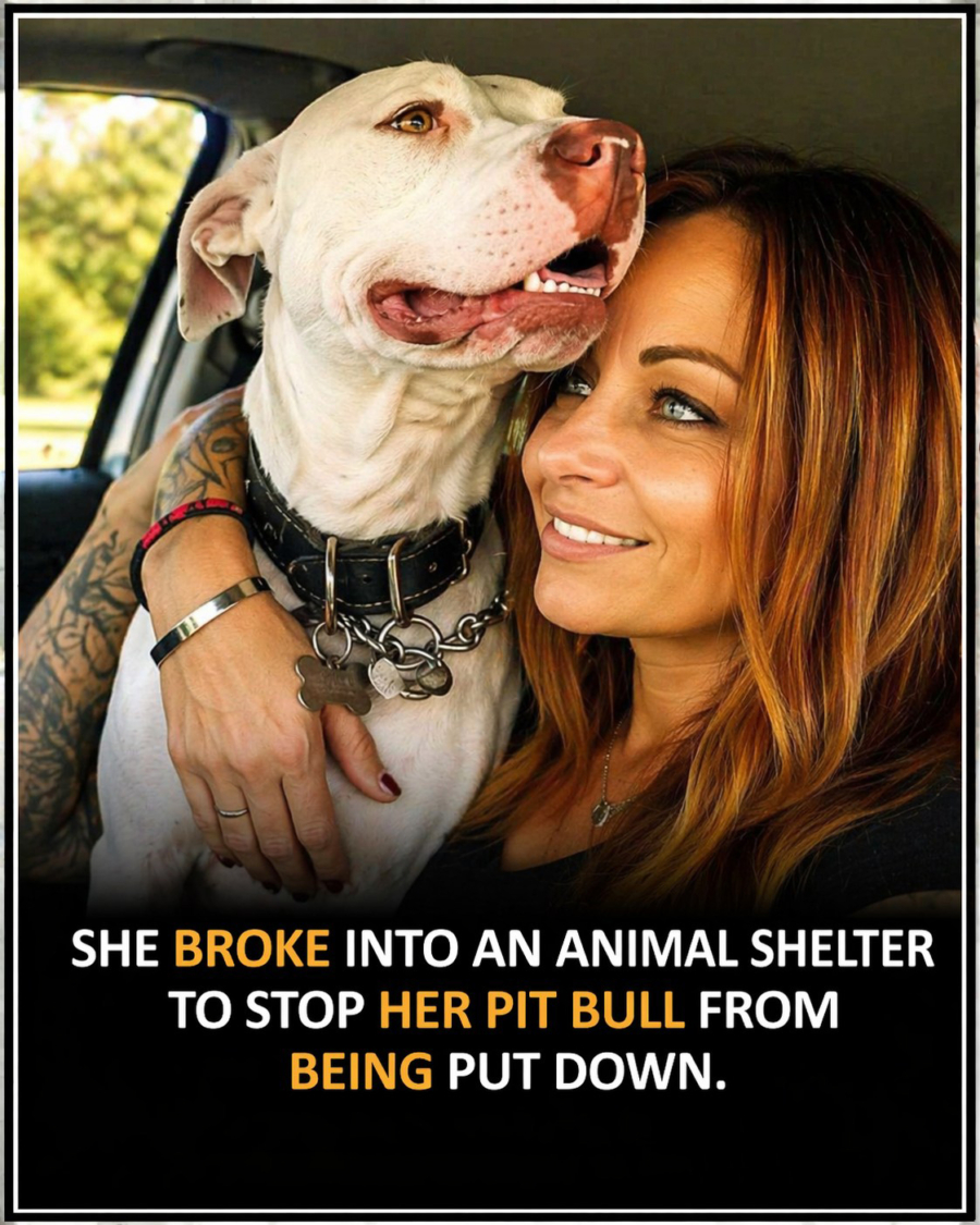 SHE BROKE INTO AN ANIMAL SHELTER TO STOP HER PIT BULL FROM BEING PUT DOWN