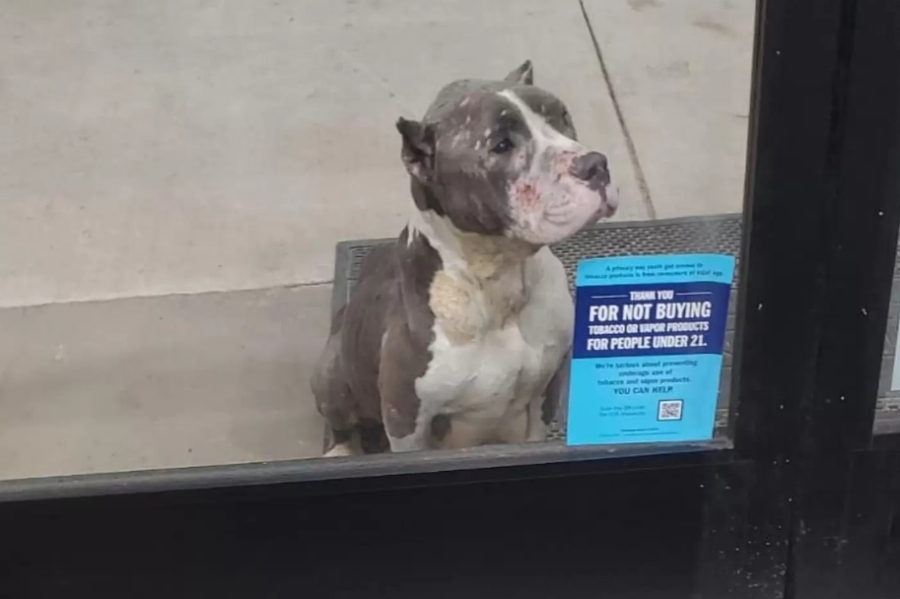 Shoppers Spot A Haunting Face Pleading For Help At Store’s Front Door