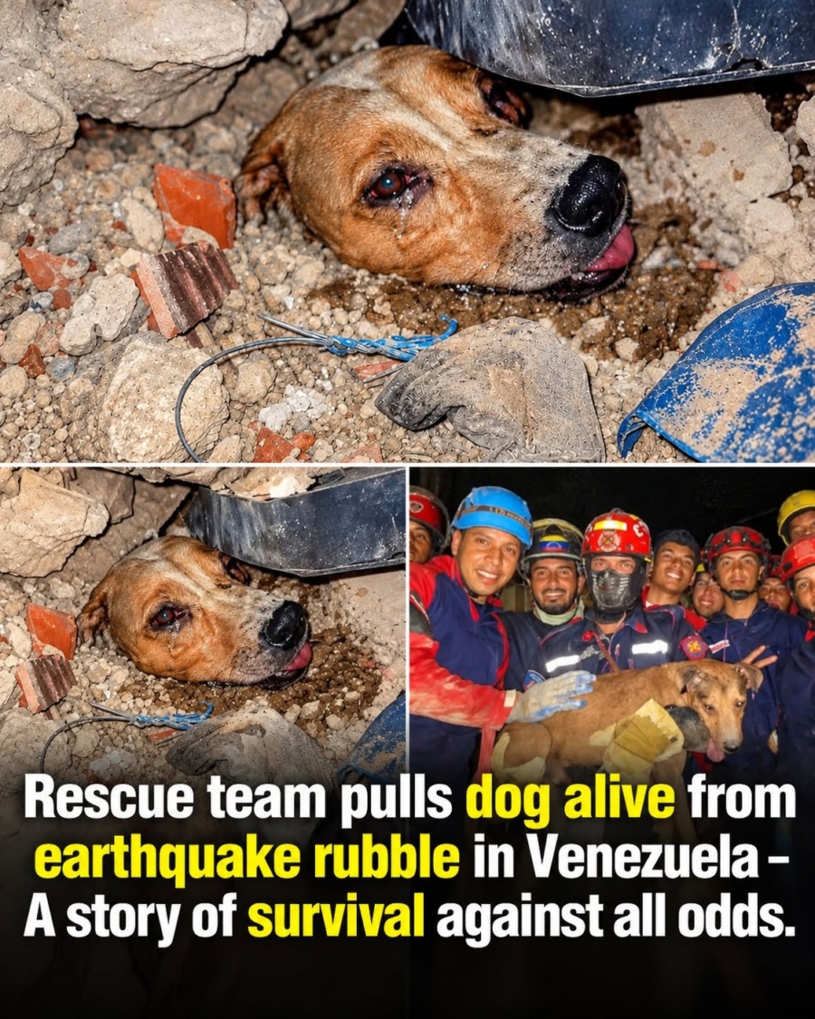 29 Days Buried Alive 29 Days Buried Alive