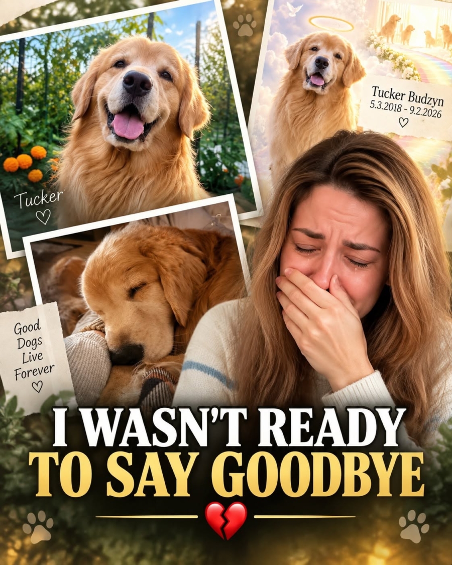 I Wasn’t Ready To Say Goodbye I Wasn’t Ready To Say Goodbye